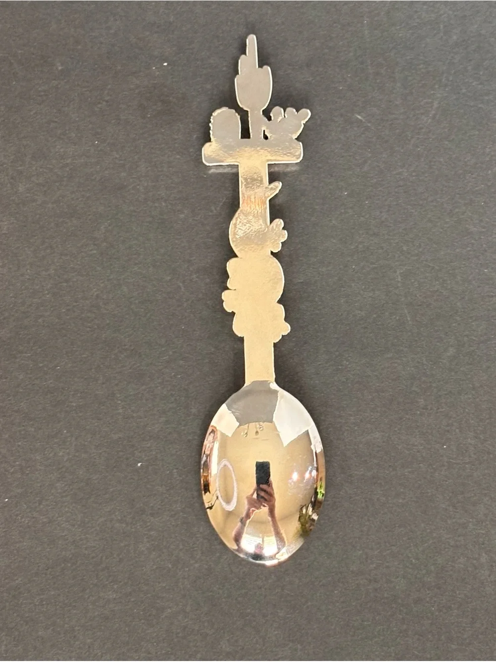 Arizona Vintage Souvenir Spoon Collectible with Original Case